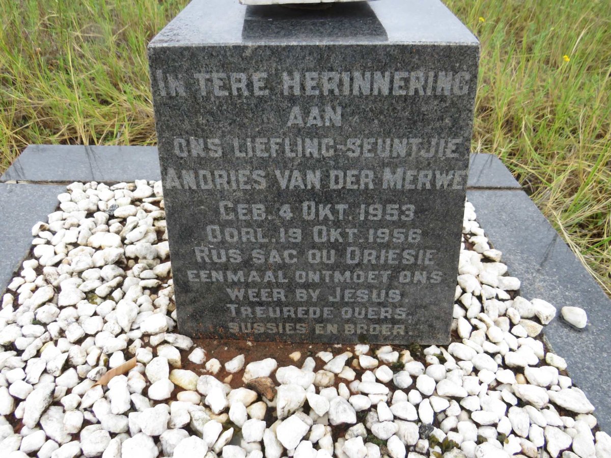 MERWE Andries, van der 1953-1956