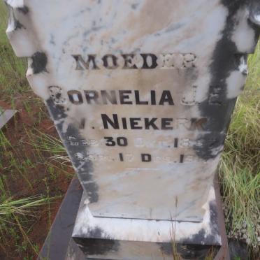 NIEKERK Cornelia J.E., van 1857-1917 _2