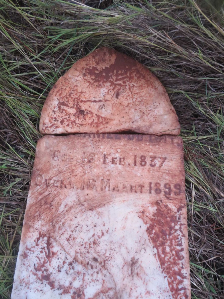 TOIT Daniel, du 1837-1899