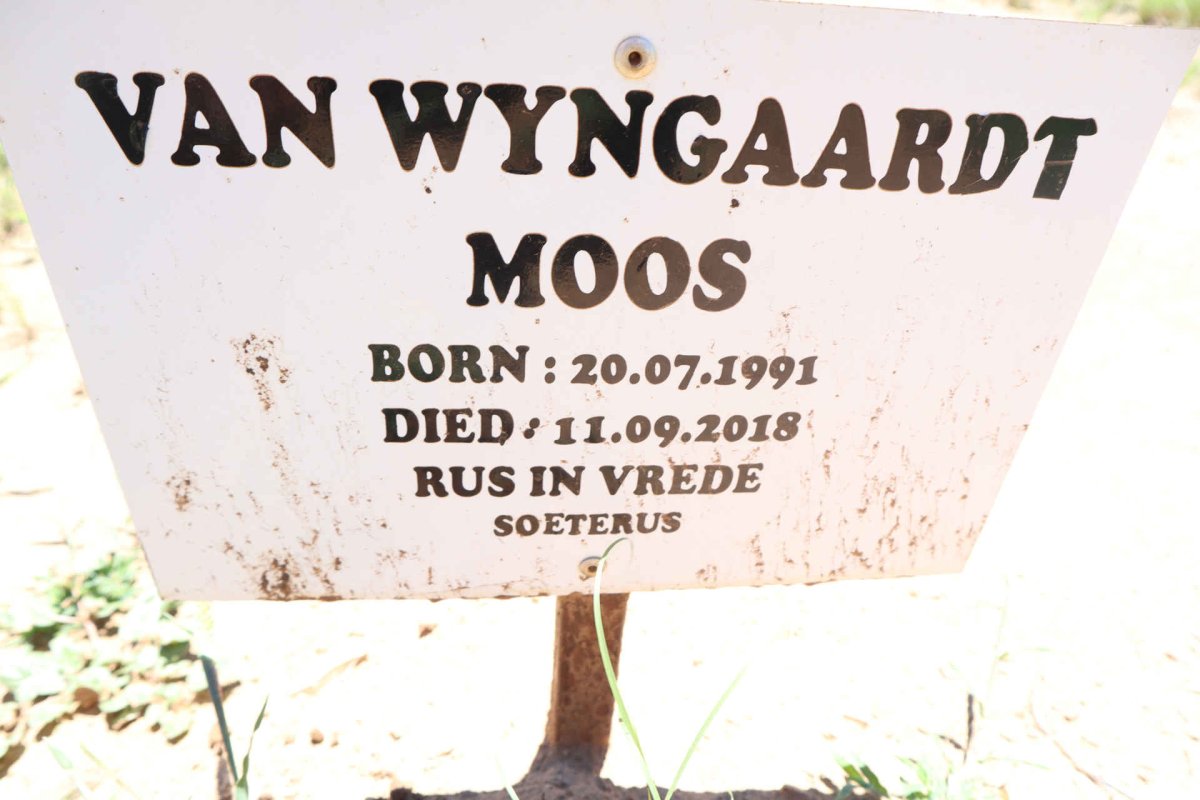 WYNGAARDT Moos, van 1991-2018