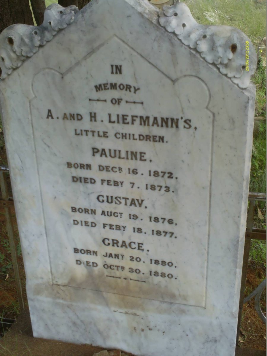LIEFMANN Pauline 1872-1873 :: LIEFMANN Gustav 1876-1877 :: LIEFMANN Grace 1880-1880
