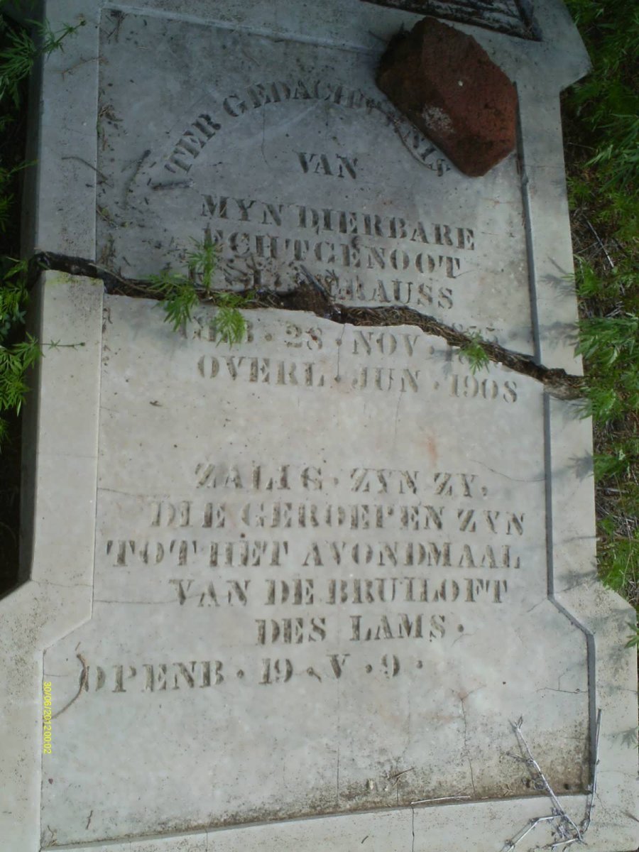 STRAUSS H.J. 1855-1908