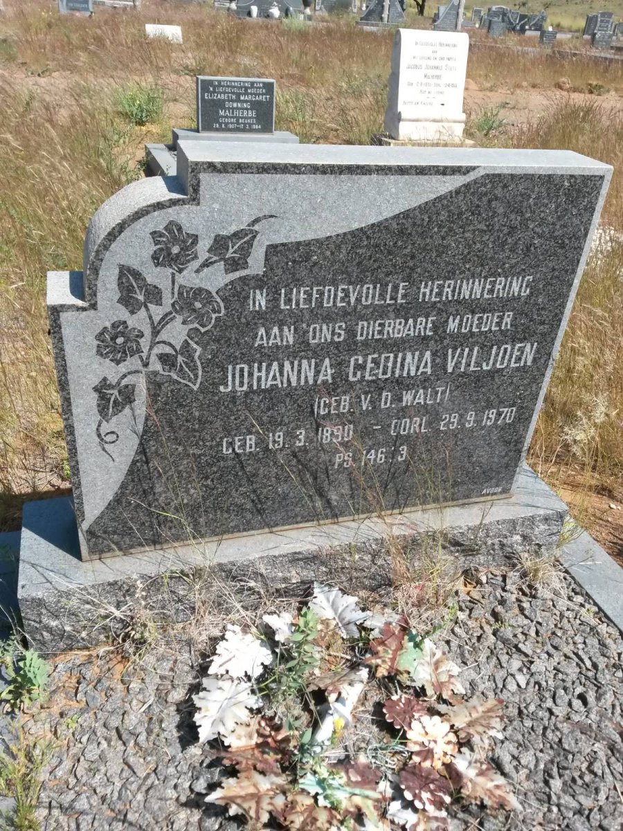 VILJOEN Johanna Gedina nee V.D. WALT 1890-1970