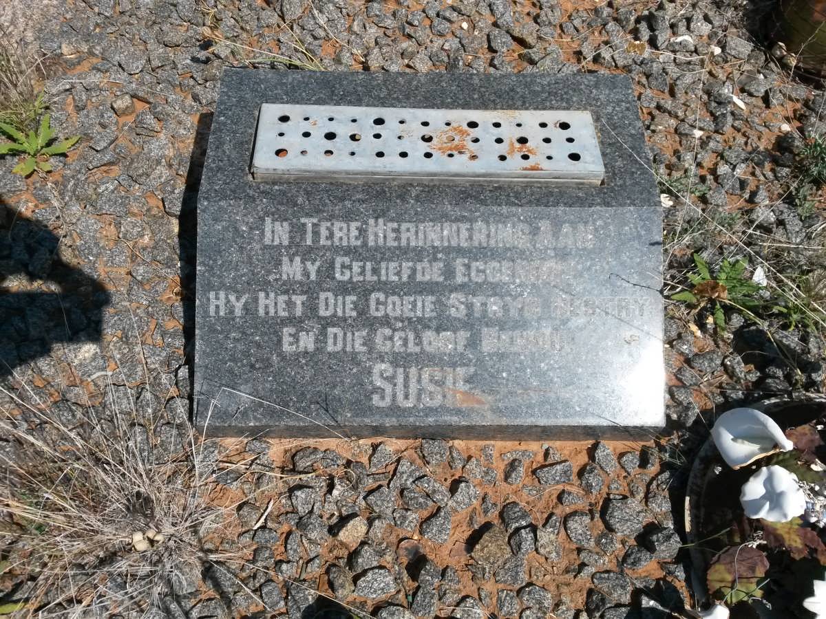 ? Susie