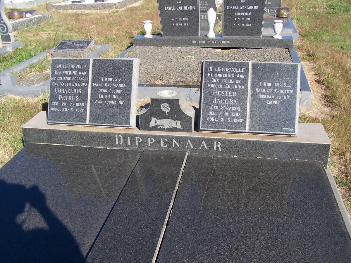 DIPPENAAR Cornelius Petrus 1895-1971 &amp; Hester Jacoba STRAUSS 1903-1983