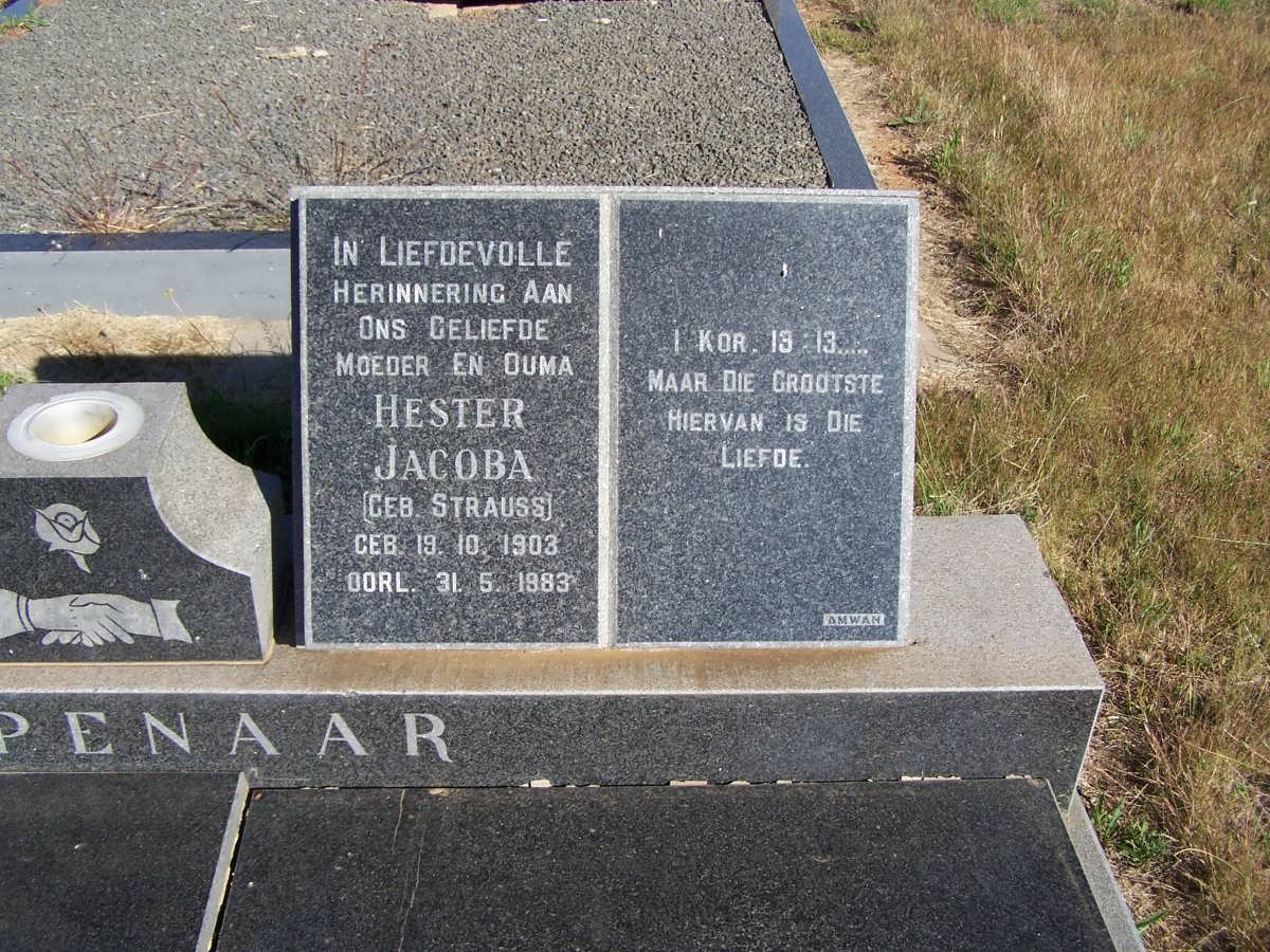 DIPPENAAR Hester Jacoba nee STRAUSS 1903-1983
