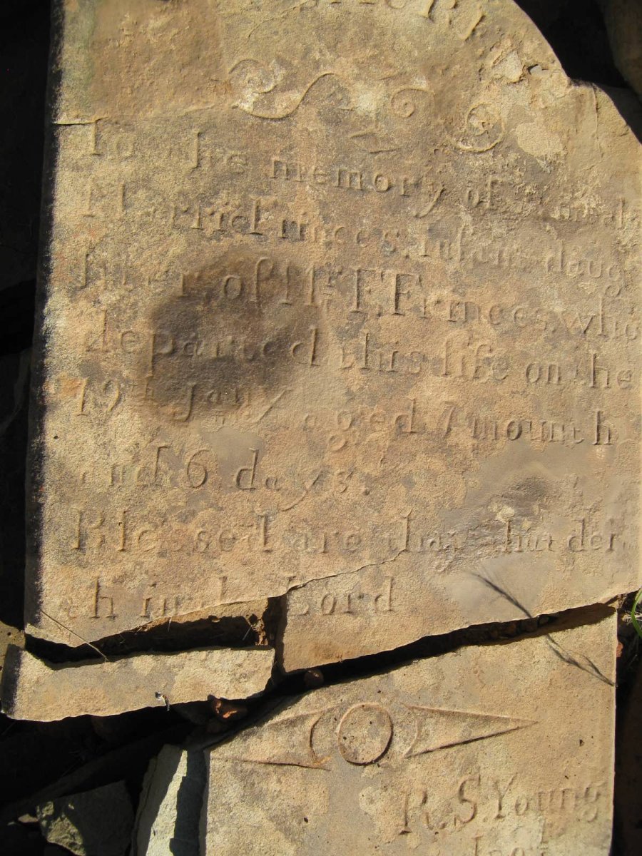 FRINCES M?