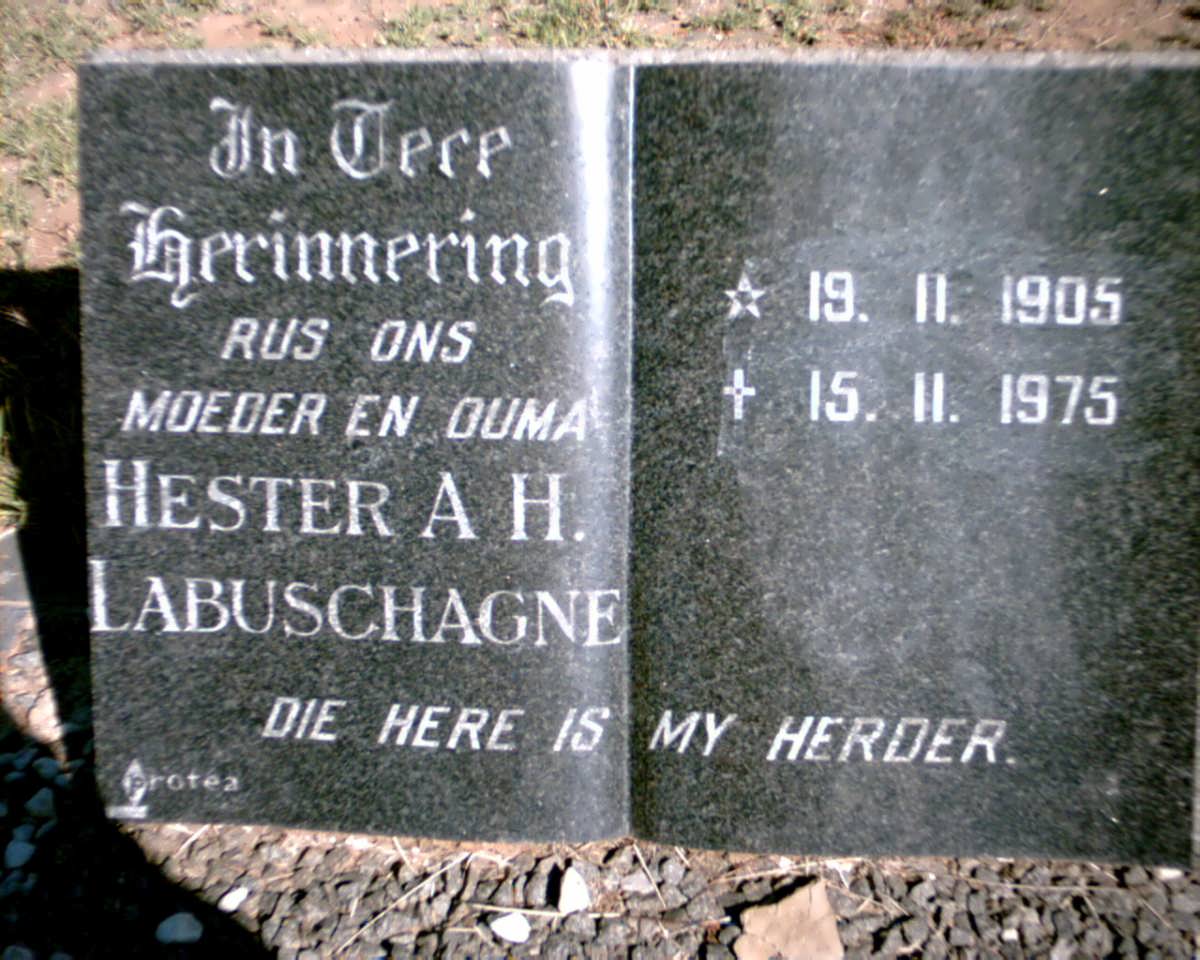LABUSCHAGNE Hester A.H. 1905-1975