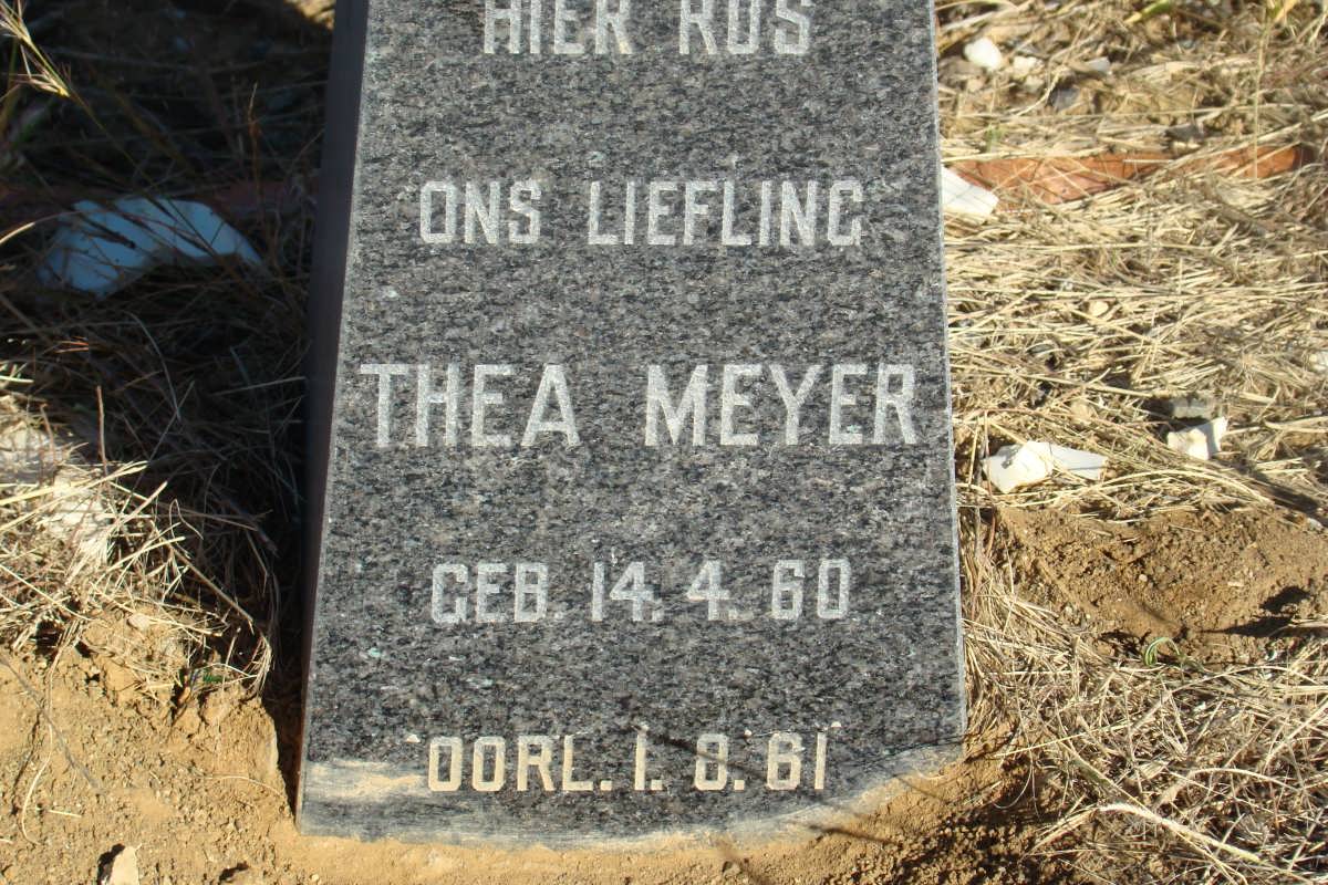 MEYER Thea 1960-1961