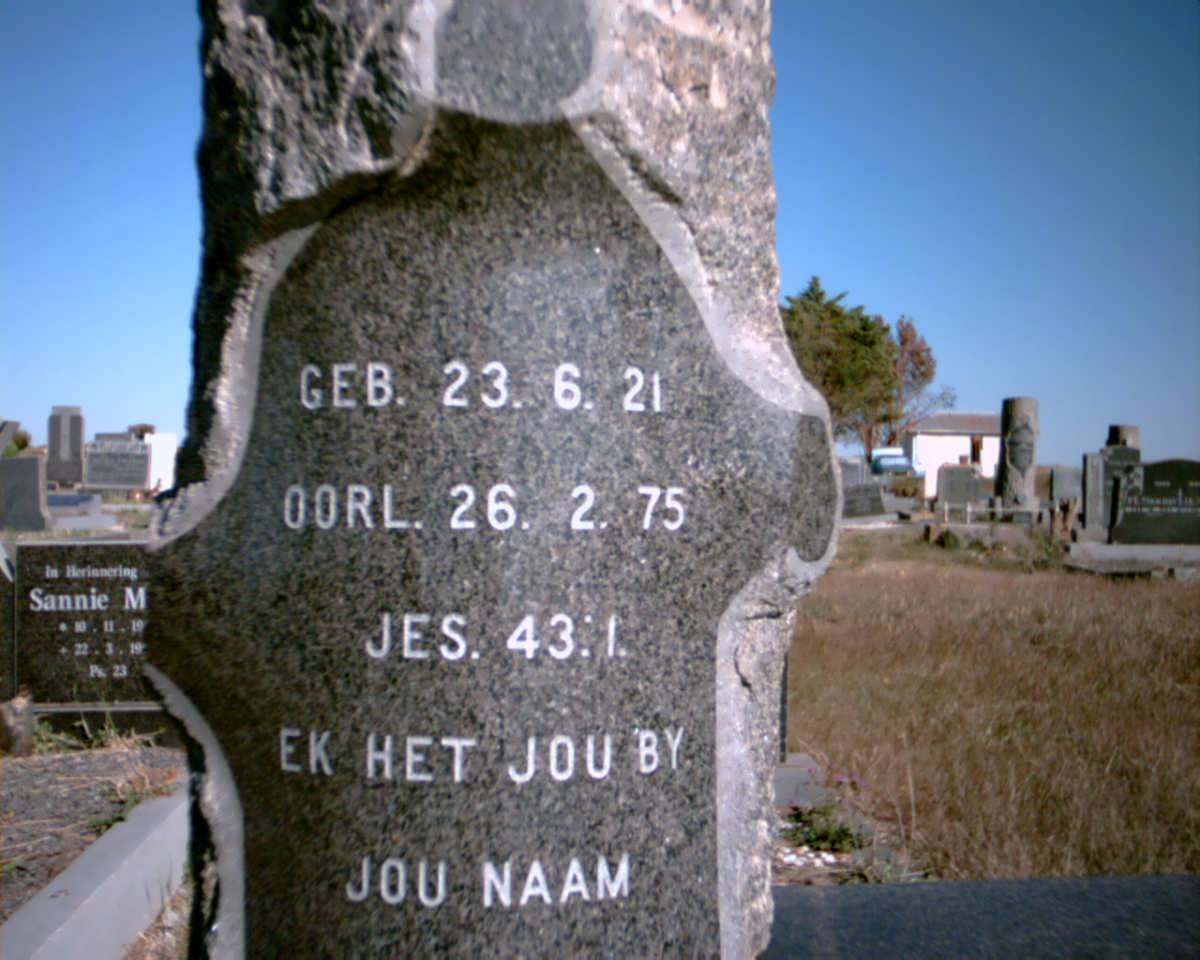 STRAUSS Jemima 1921-1975