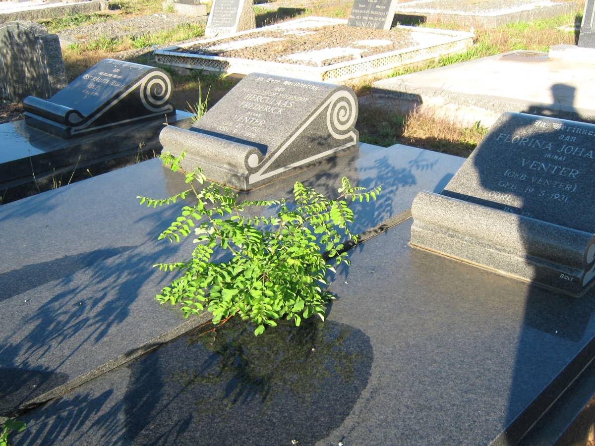 VENTER Herculaas Frederick 1927-1978 &amp; Florina Johanna VENTER 1931-2015