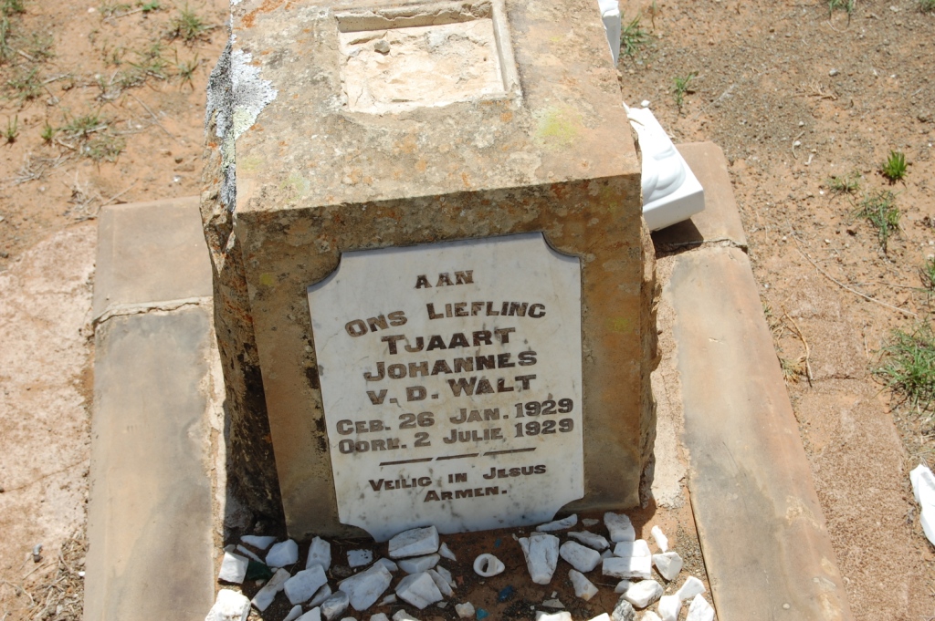 WALT Tjaart Johannes, van der 1929-1929
