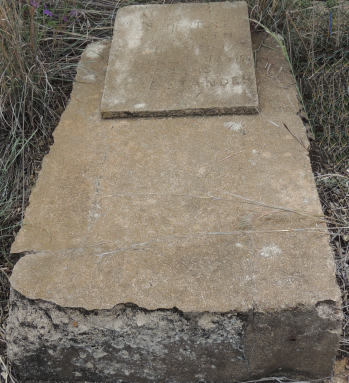 STANDER Elizabeth 1943-1944