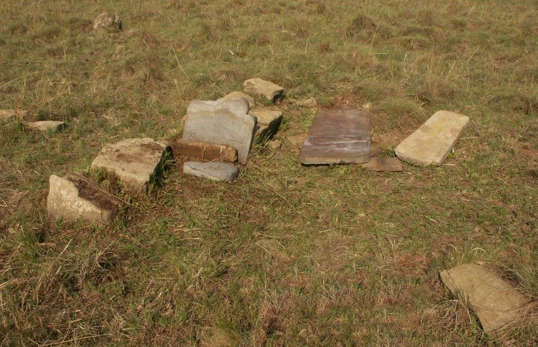 1. Overview