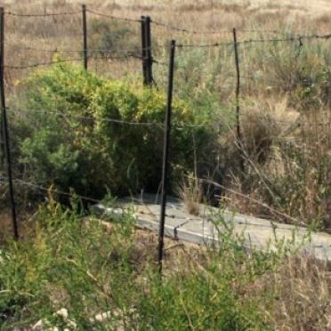 Free State, REITZ district, Leeuwspruit 305, farm cemetery_1