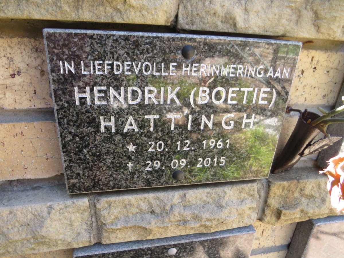 HATTINGH Hendrik 1961-2015