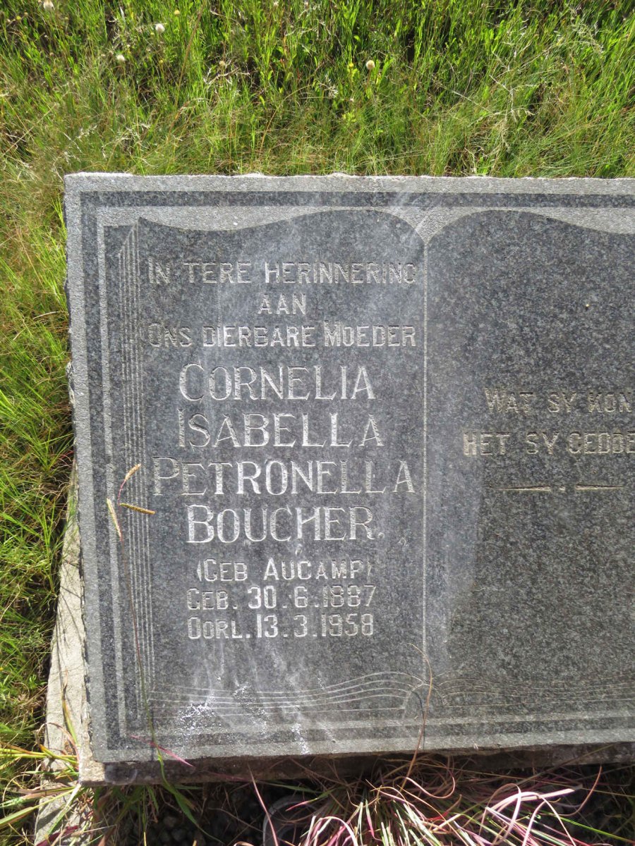 BOUCHER Cornelia Isabella Petronella nee AUCAMP 1887-1958