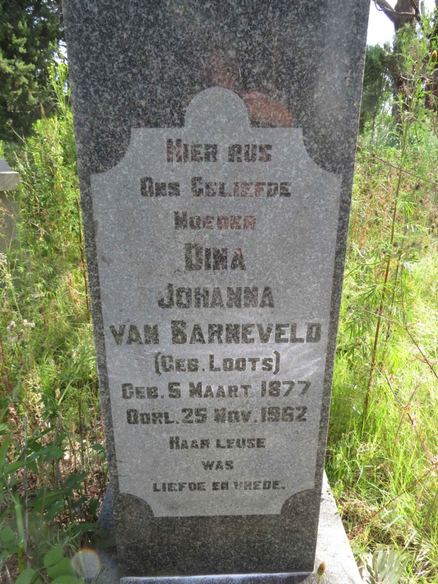 BARNEVELD Dina Johanna, van nee LOOTS 1877-1962