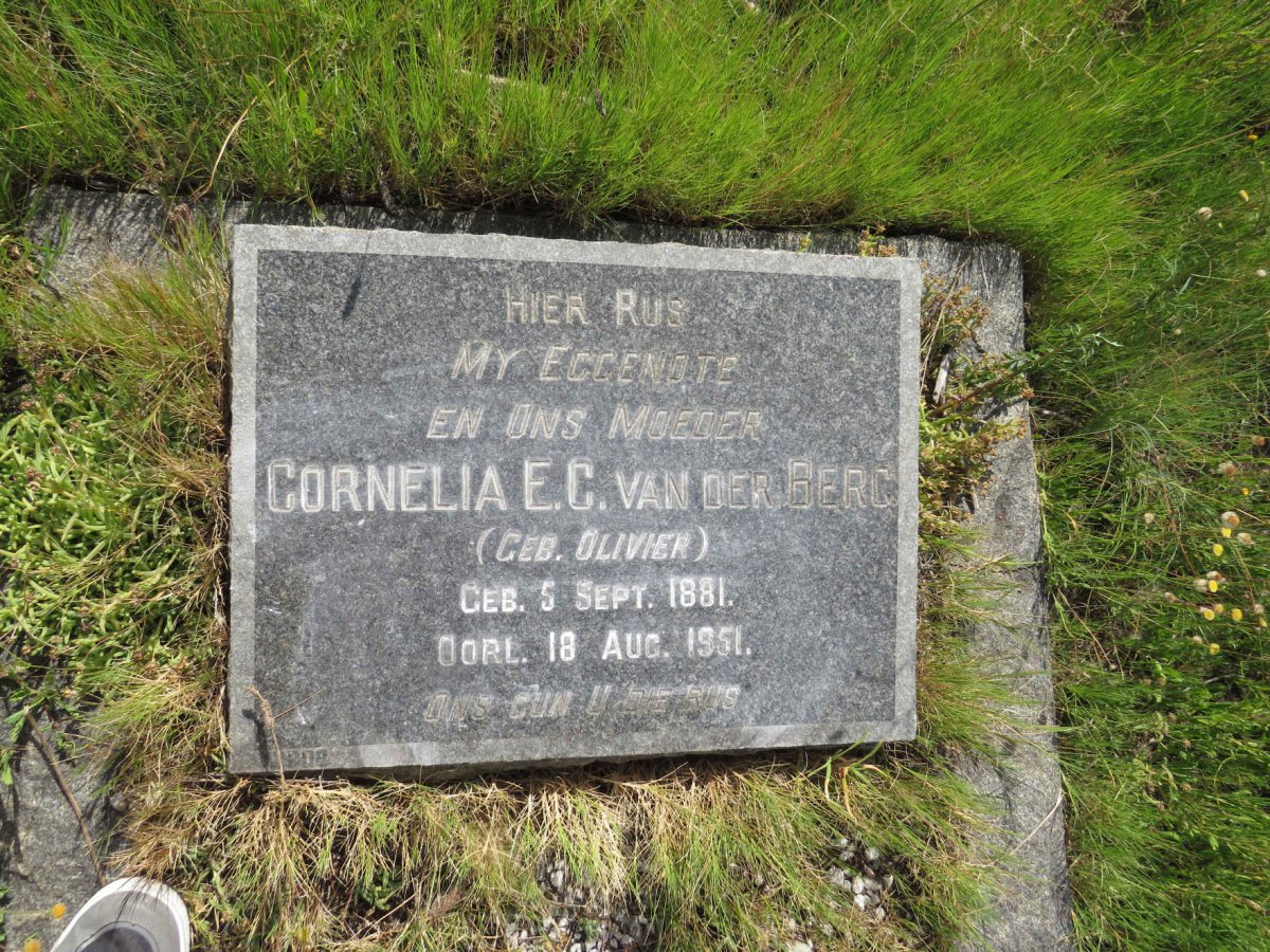 BERG Cornelia E.C., van der nee OLIVIER 1881-1951