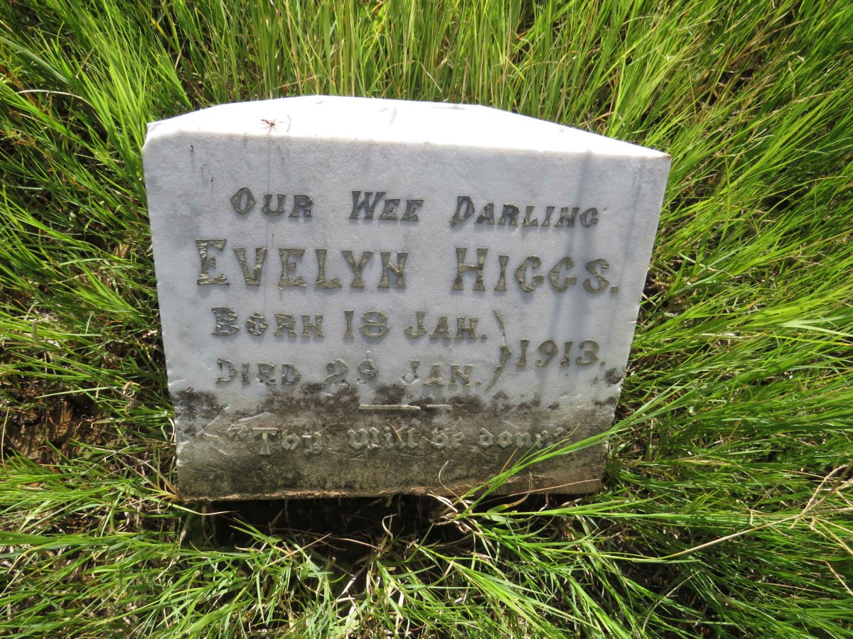 HIGGS Evelyn 1913-1913