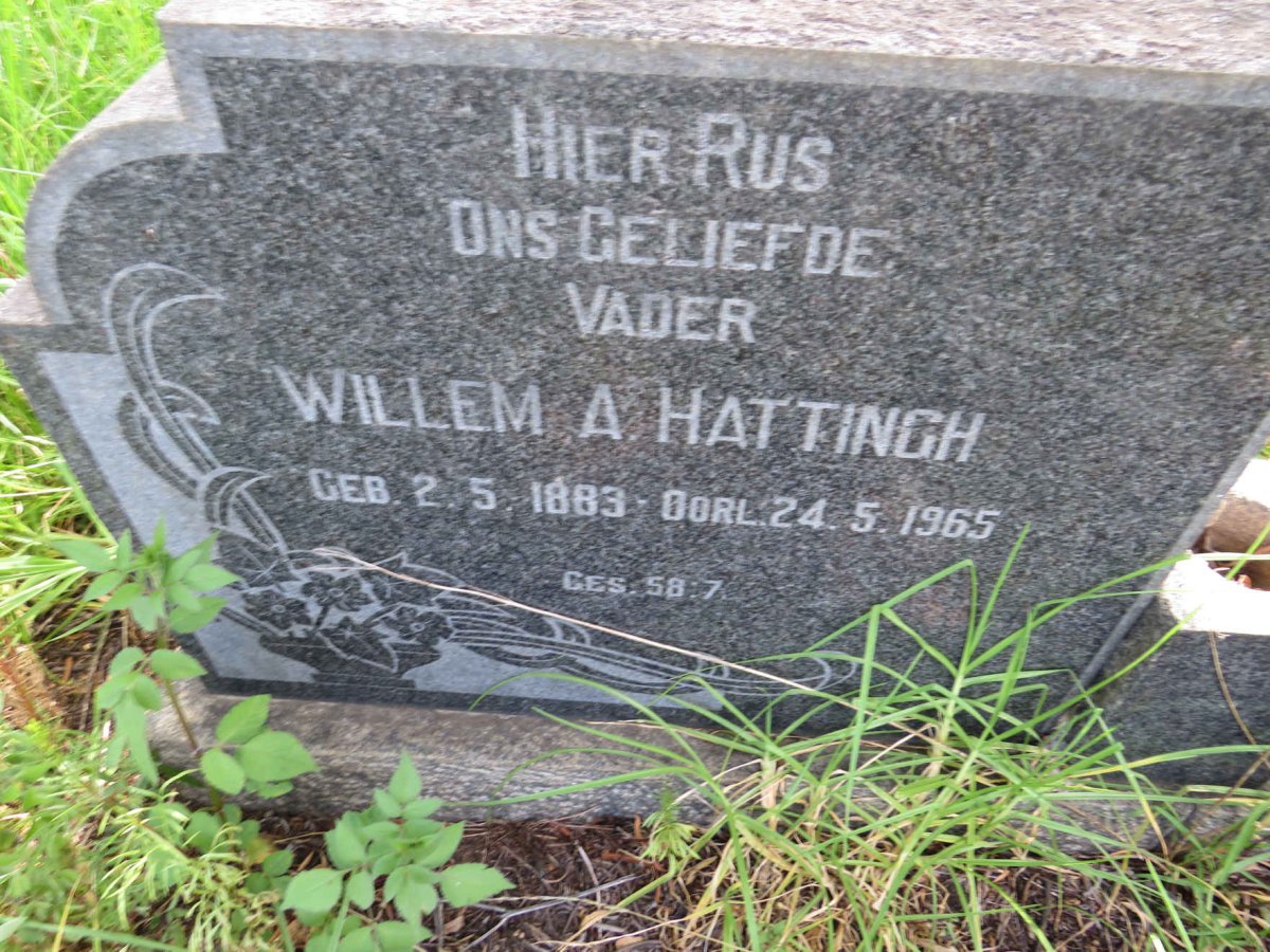HATTINGH Willem A. 1883-1965