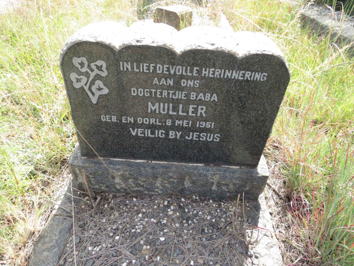 MULLER 1951-1951