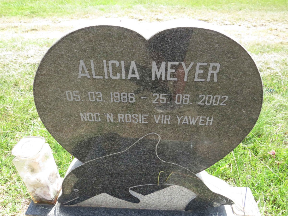 MEYER Alicia 1986-2002