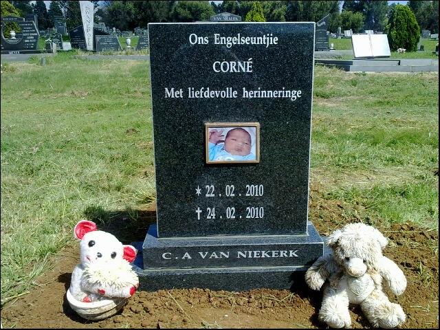 NIEKERK C.A., van 2010-2010