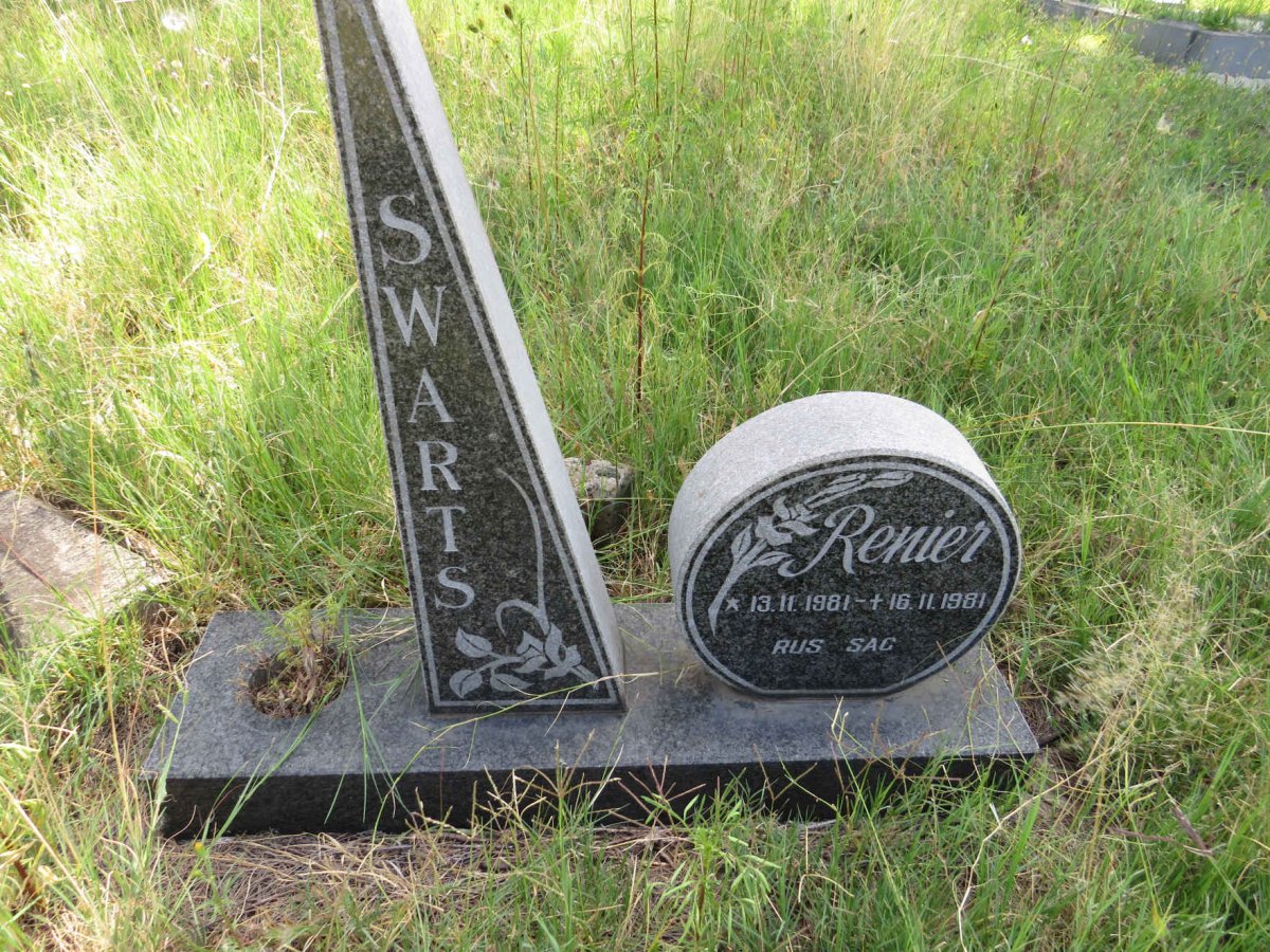 SWARTS Renier 1981-1981