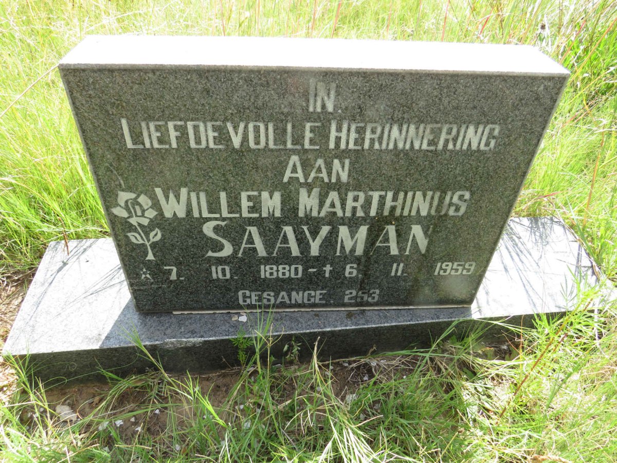 SAAYMAN Willem Marthinus 1880-1959