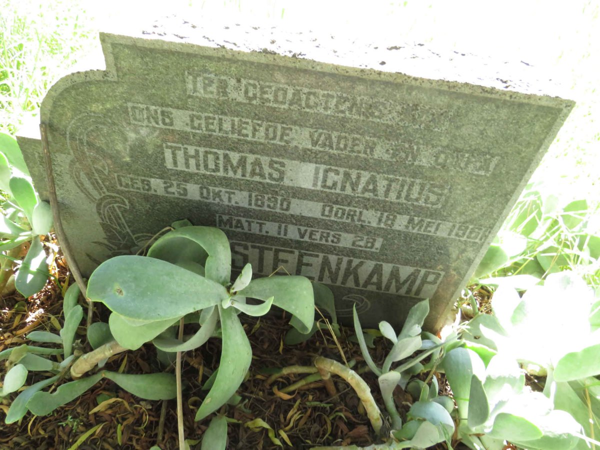 STEENKAMP Thomas Ignatius 1890-1961