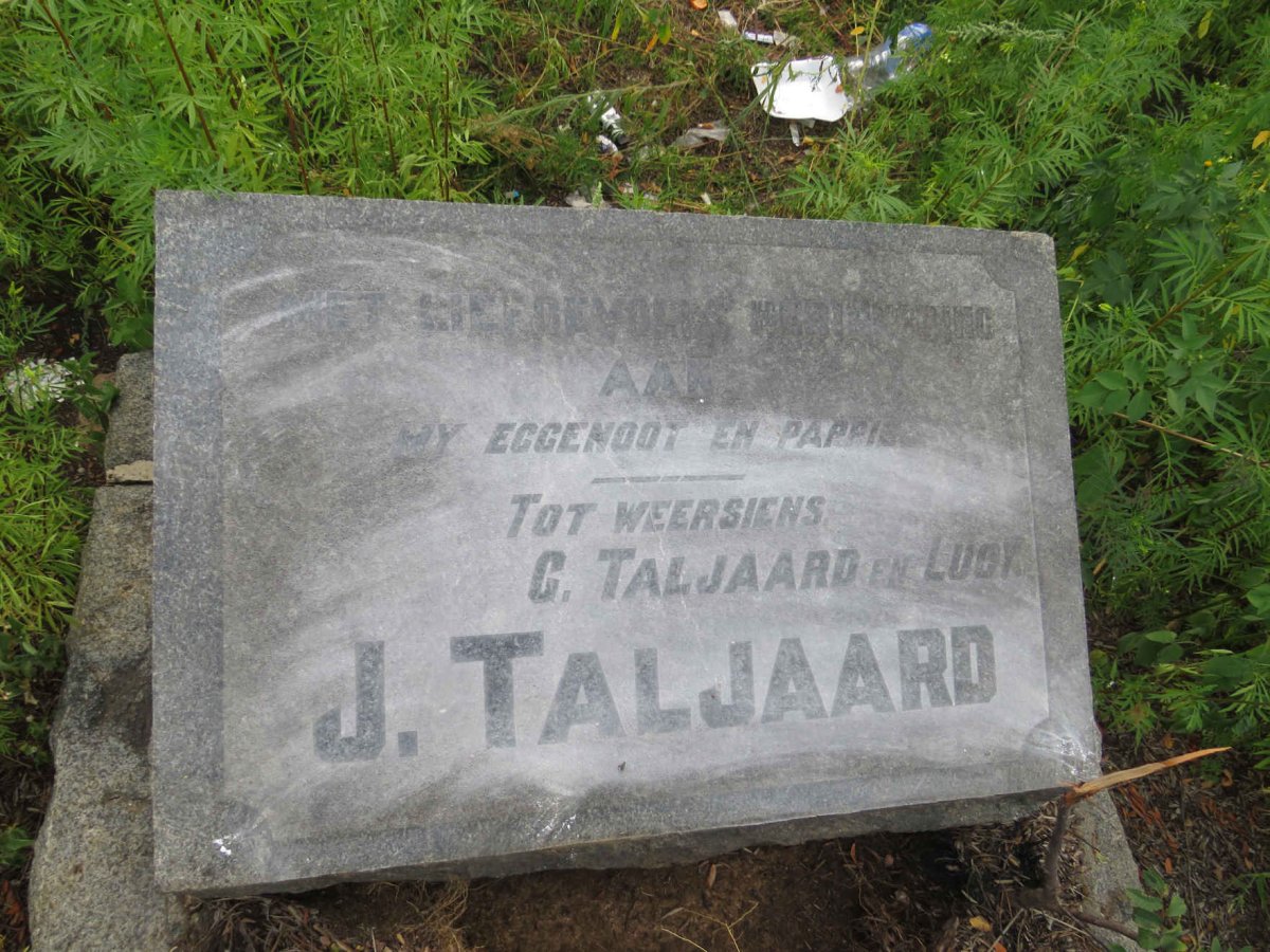 TALJAARD J.