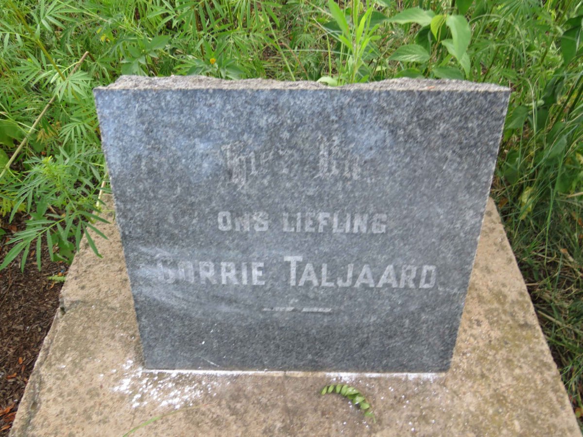 TALJAARD Corrie