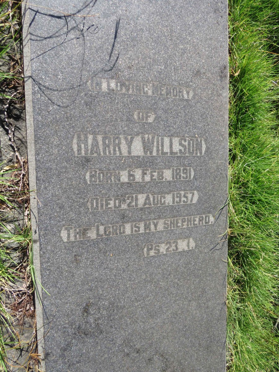 WILLSON Harry 1891-1957