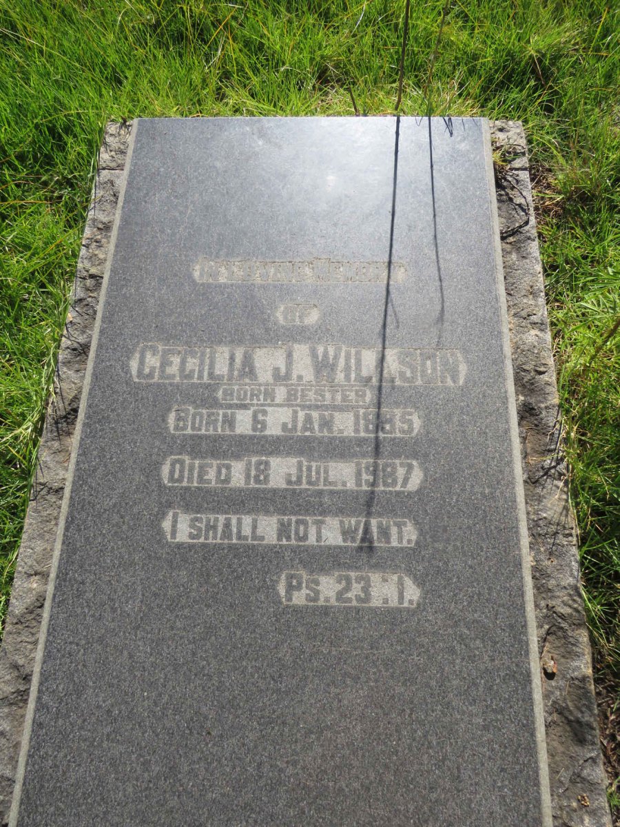 WILLSON Cecilia J. nee BESTER 1895-1987