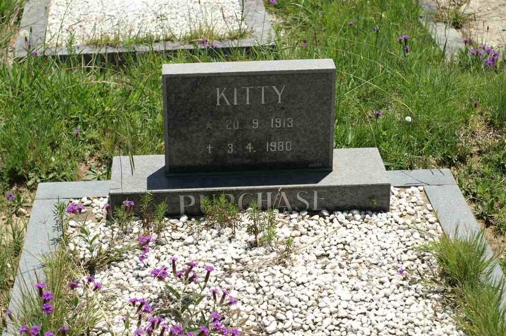 PURCHASE Kitty 1913-1980