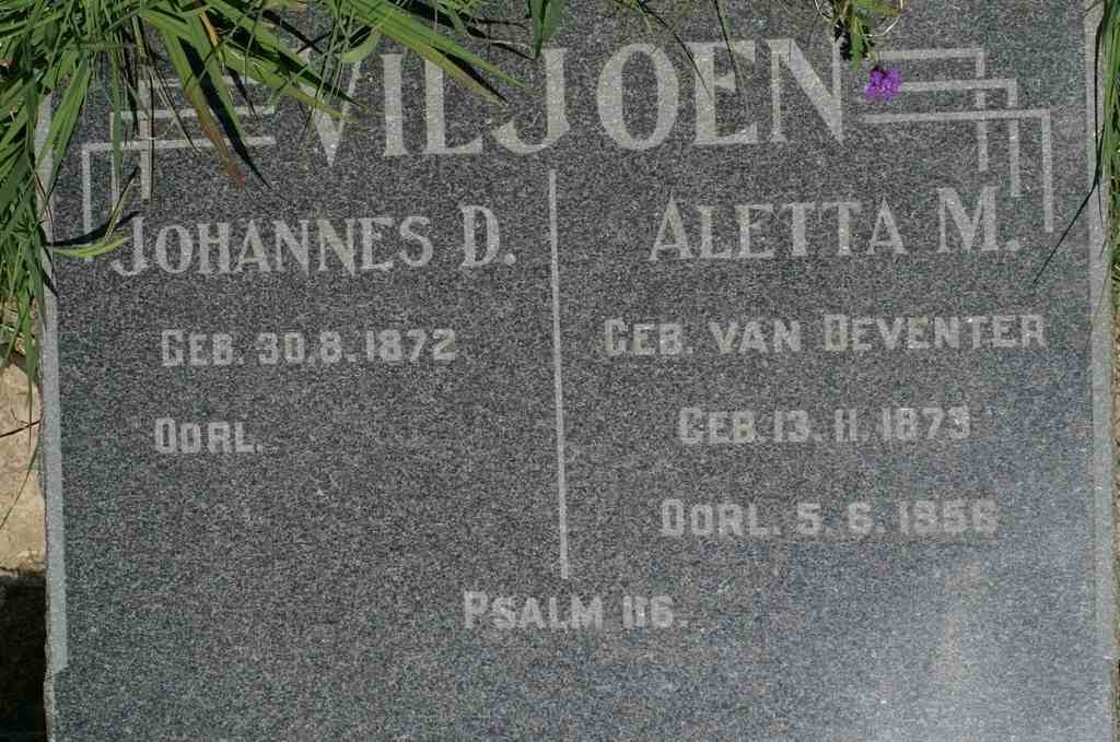 VILJOEN Johannes D. 1872- &amp; Aletta M. VAN DEVENTER 1873-1956