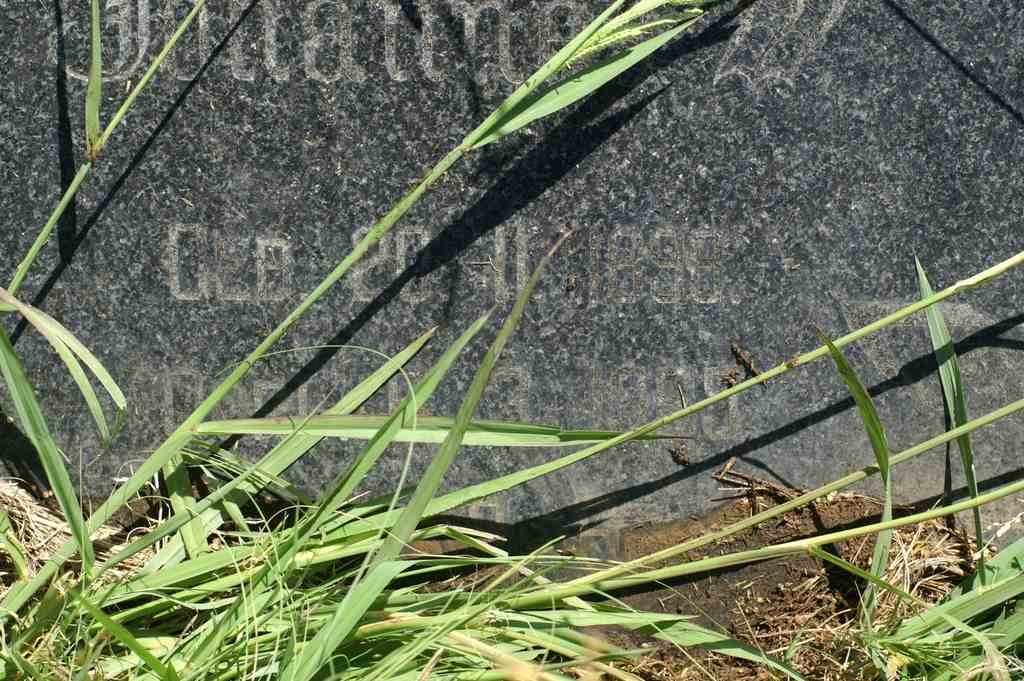 ? Johannes W. 1898-1955 &amp; Helena S. EKSTEEN 1905-