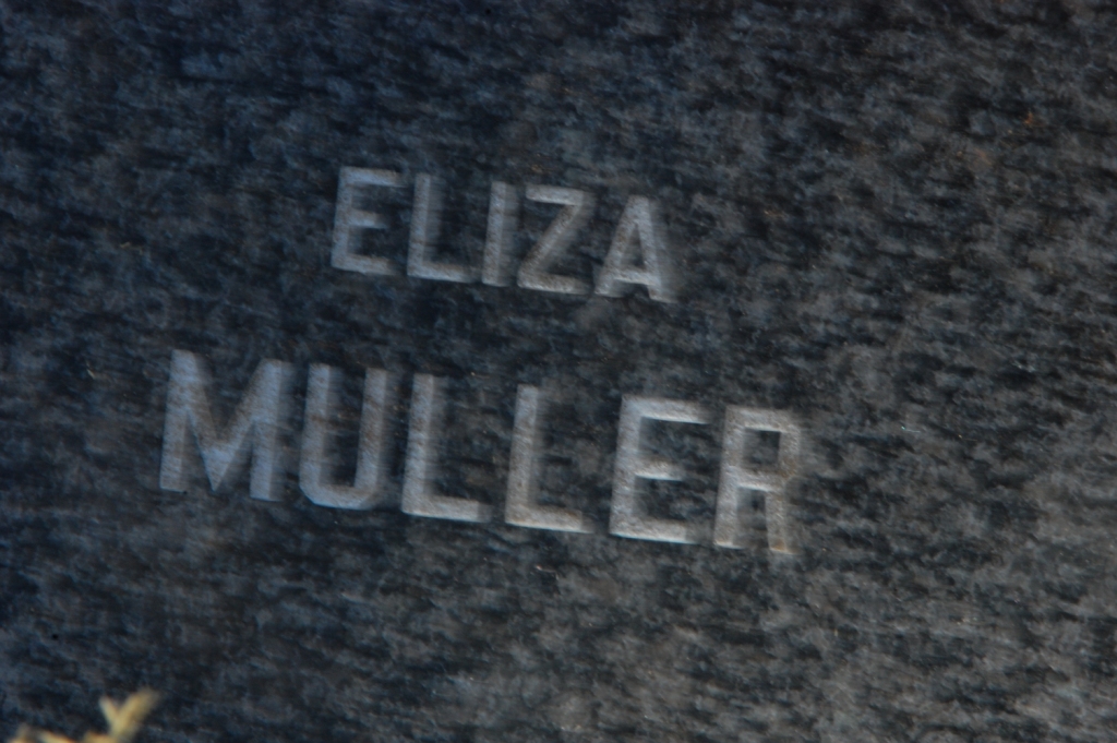 MULLER Eliza