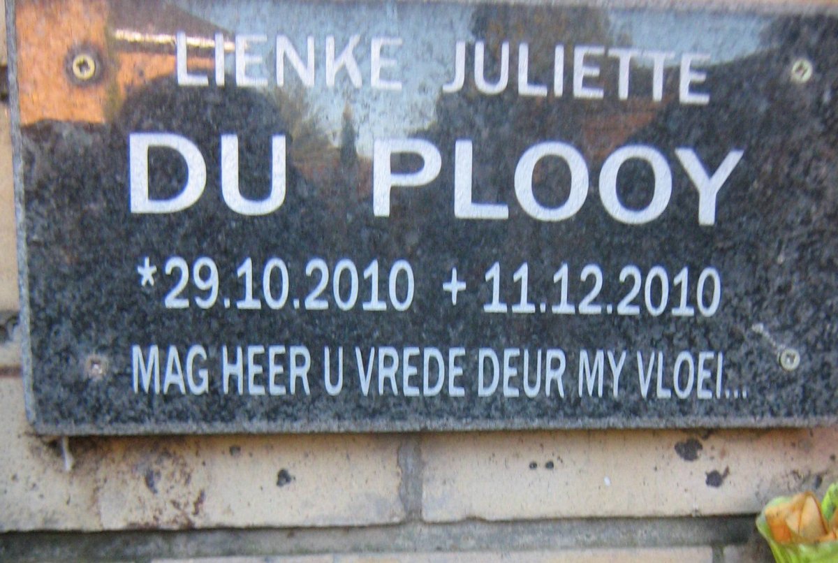 PLOOY Lienke Juliette, du 2010-2010