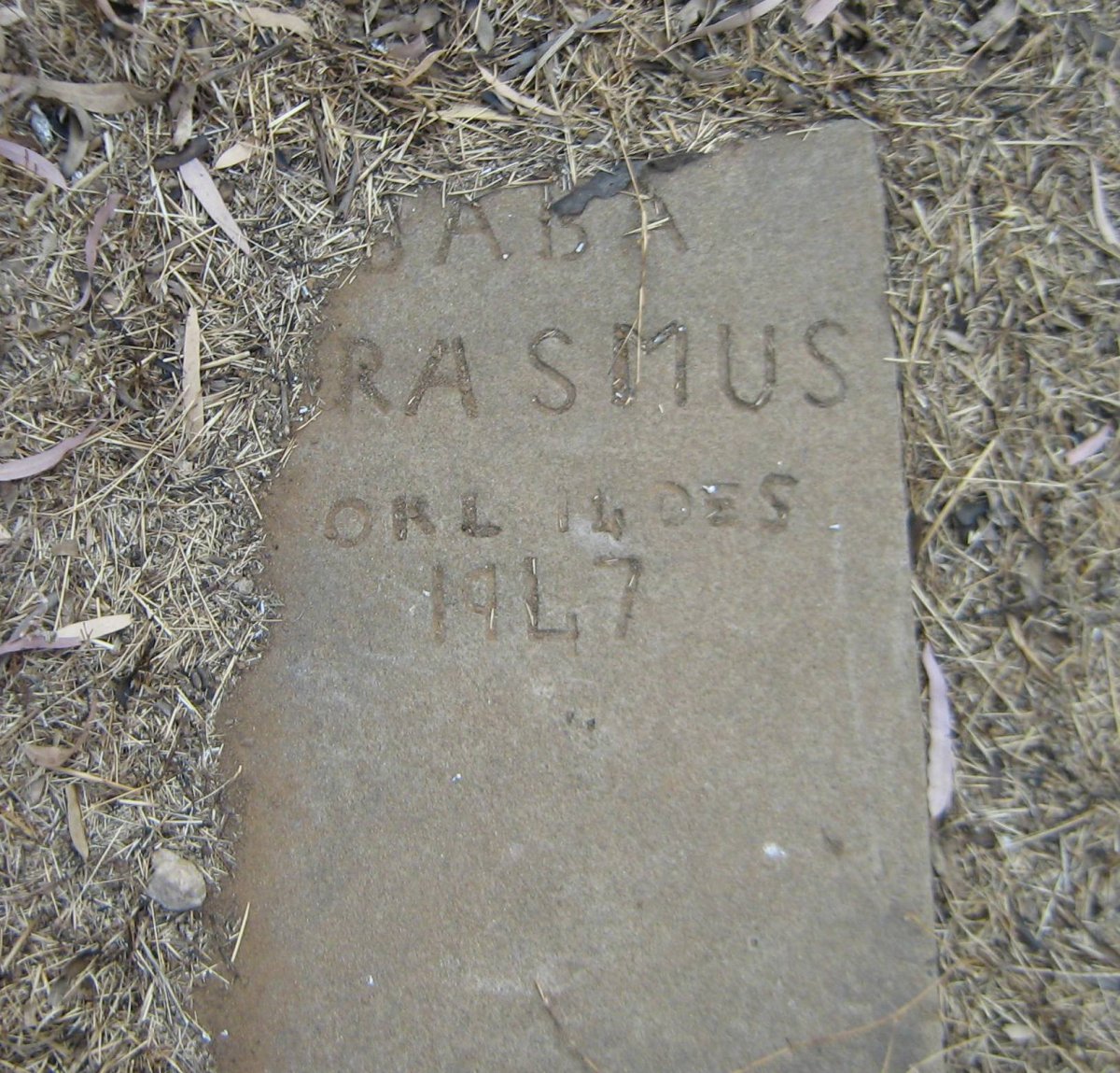 ERASMUS -1947