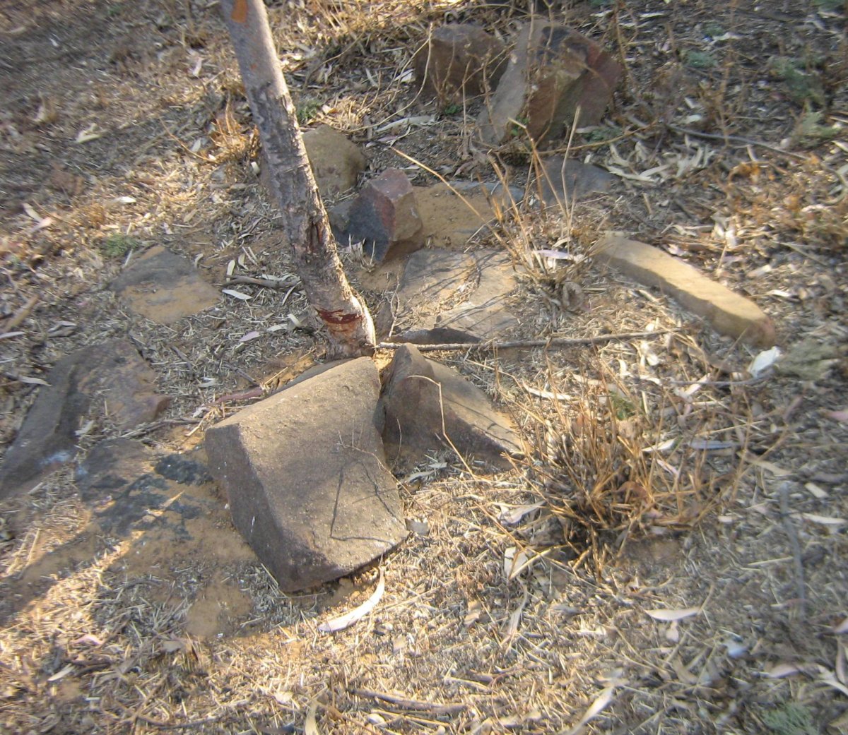 ?