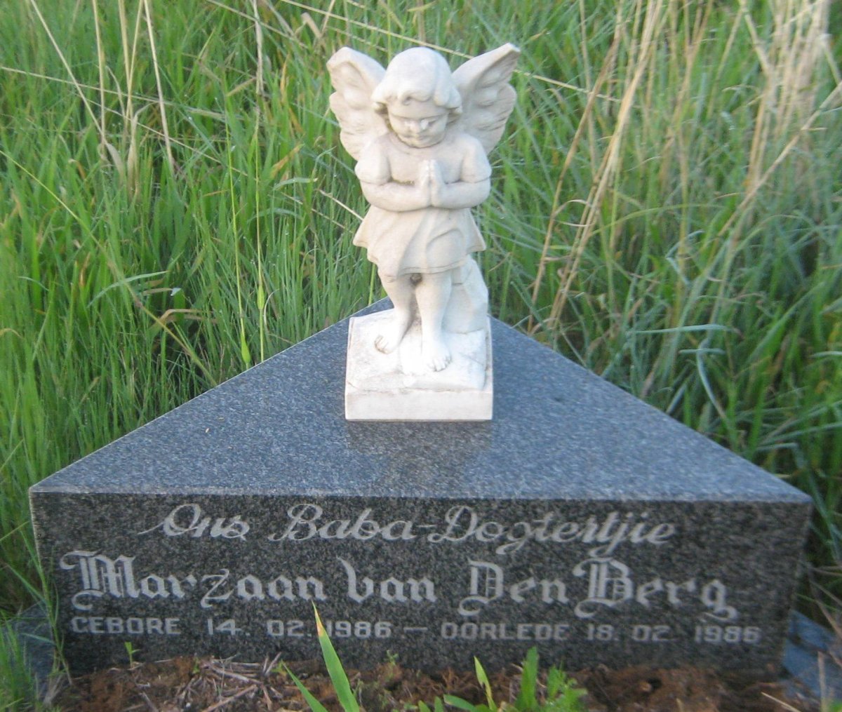 BERG Marzaan, van den 1986-1986
