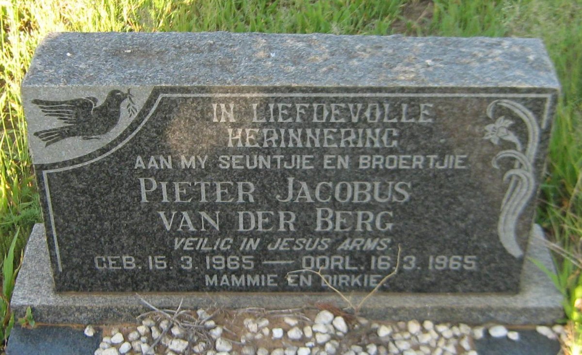 BERG Pieter Jacobus, van der 1965-1965