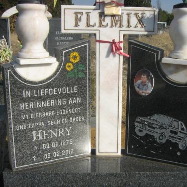 FLEMIX Henry 1975-2012
