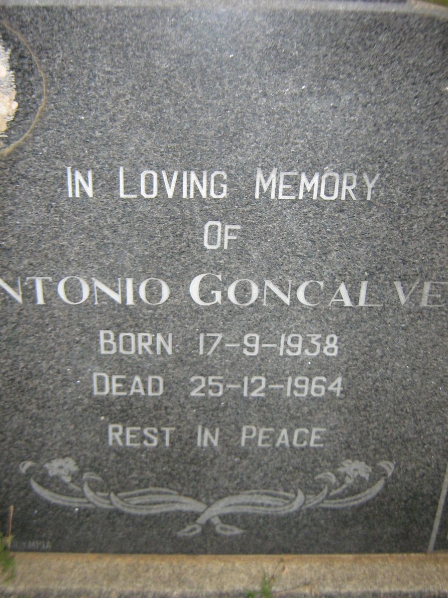 GONCALVE ?ntonio 1938-1964