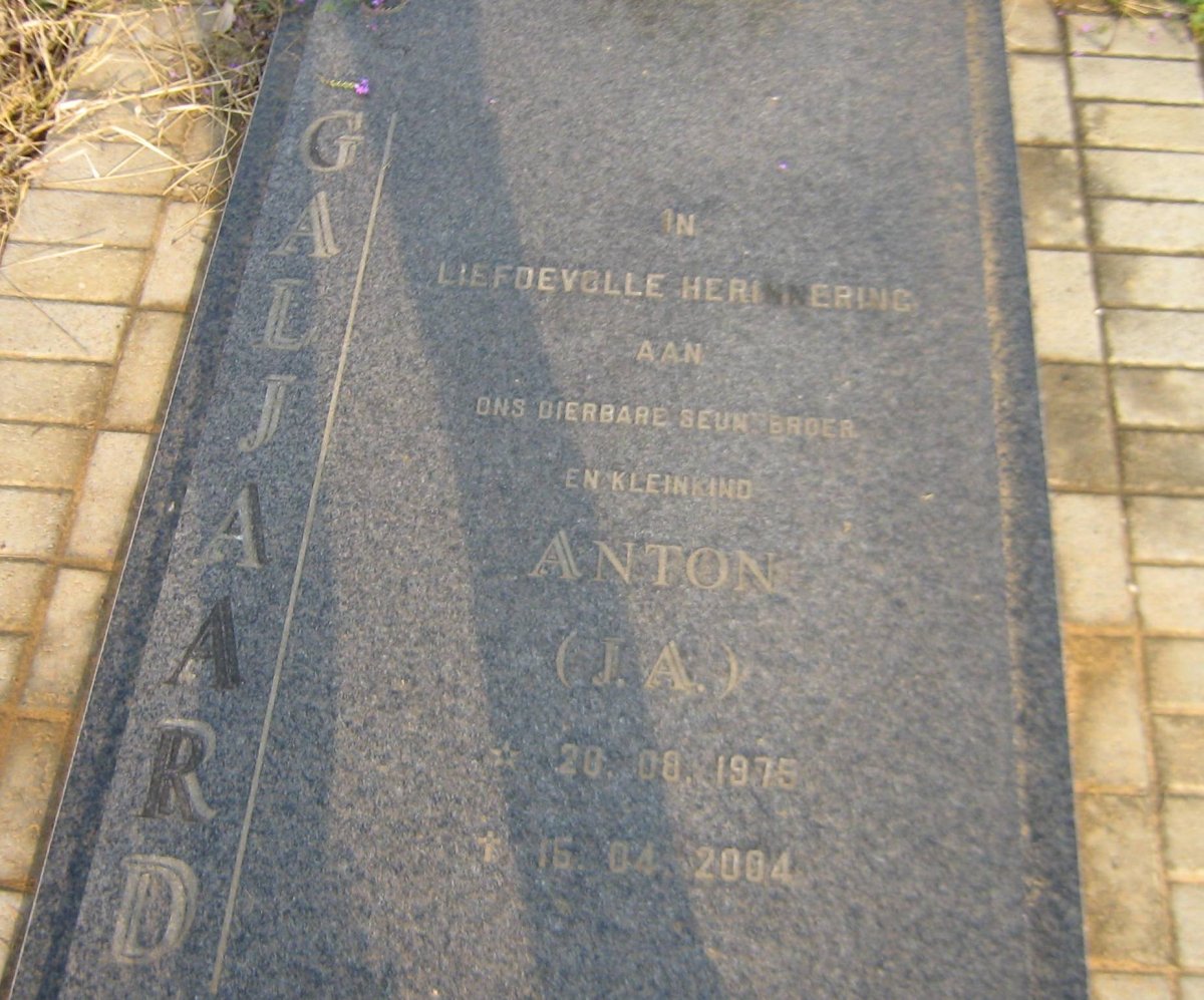 GALJAARD J.A. 1975-2004
