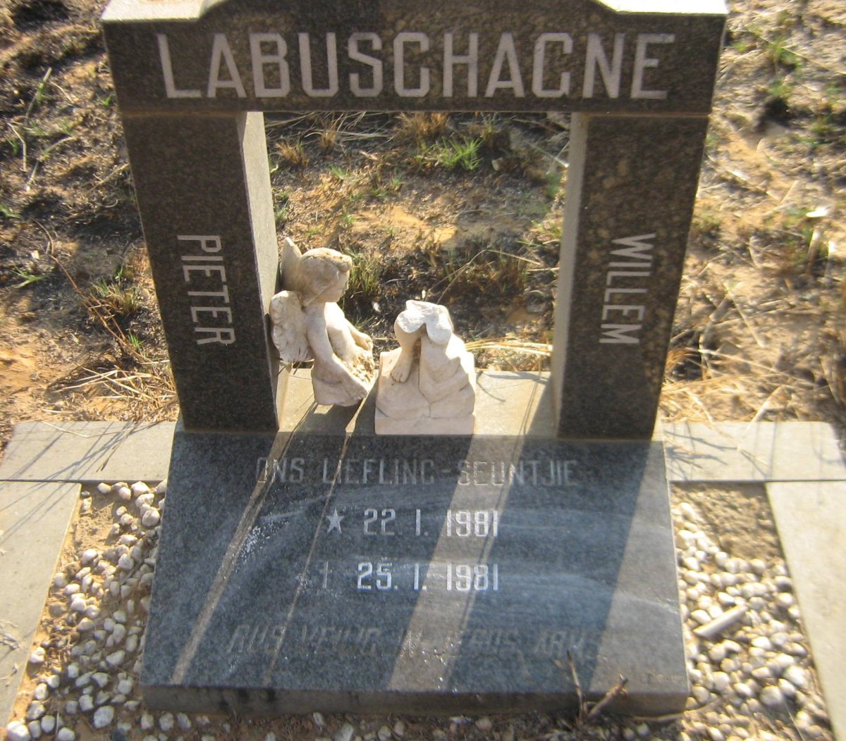 LABUSCHAGNE Pieter Willem 1981-1981