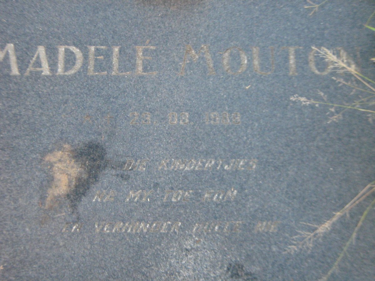 MOUTON Madale -1988