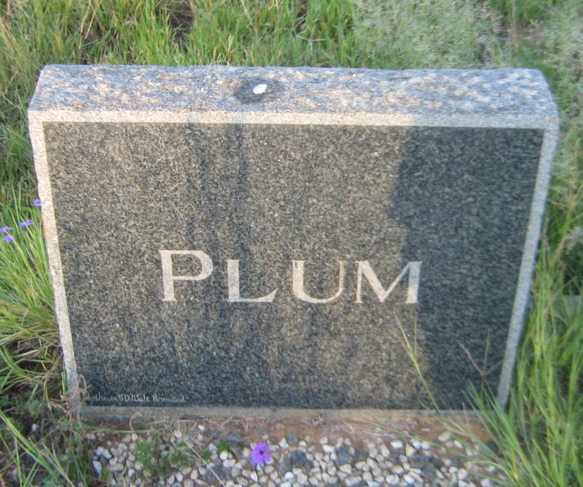 PLUM